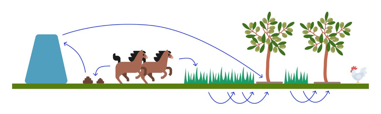 la nostra agricoltura rigenerativa