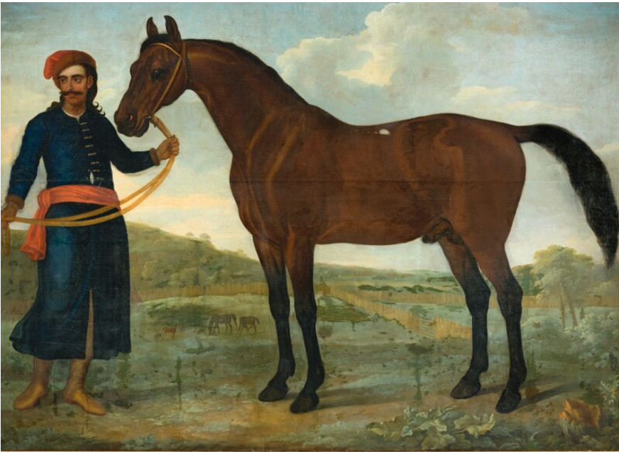 Dipinto del cavallo arabo Turk - dipinto di Thomas Spencer